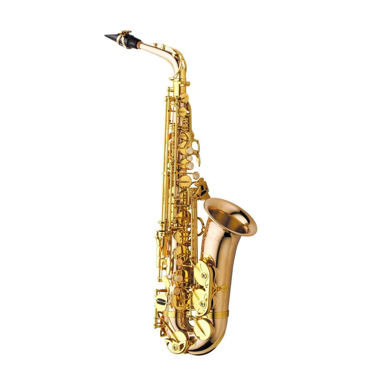 Yanagisawa AWO2 Professional Alto Saxophone - Bronze