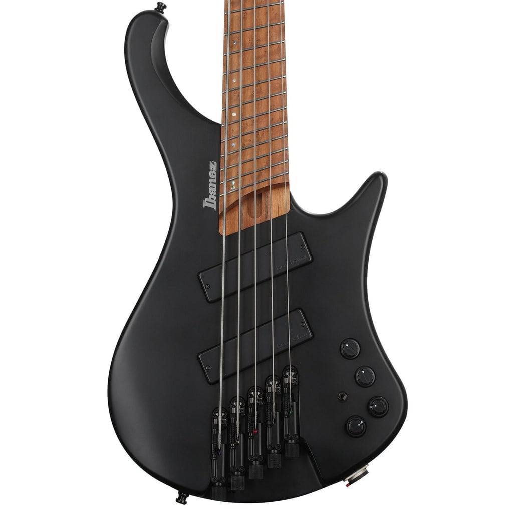 Ibanez Bass Workshop EHB1005MS 5-String Bass Guitar - Black Flat - Irvine Art And Music
