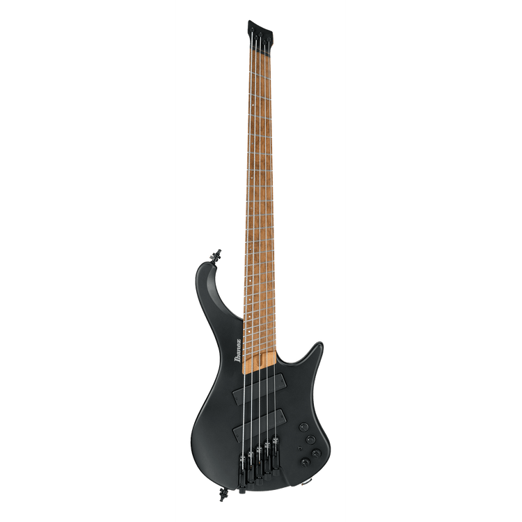 Ibanez Bass Workshop EHB1005MS 5-String Bass Guitar - Black Flat