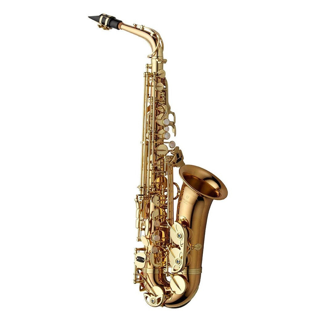 Yanagisawa AWO2 Professional Alto Saxophone - Bronze