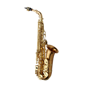 Yanagisawa A-WO20 Elite Professional Alto Saxophone - Bronze