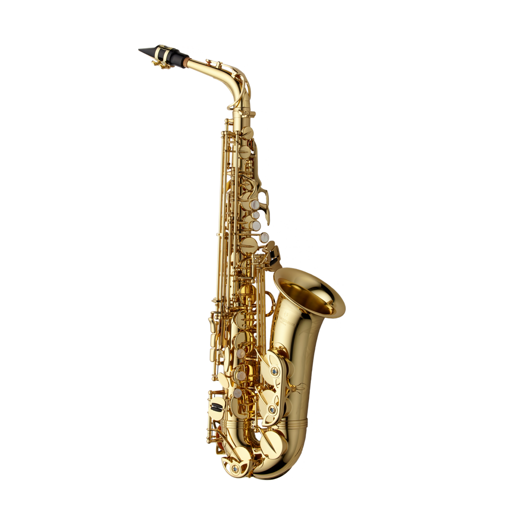 Yanagisawa Professional Alto Saxophone