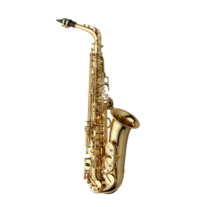 Yanagisawa A-WO1 Professional Alto Saxophone