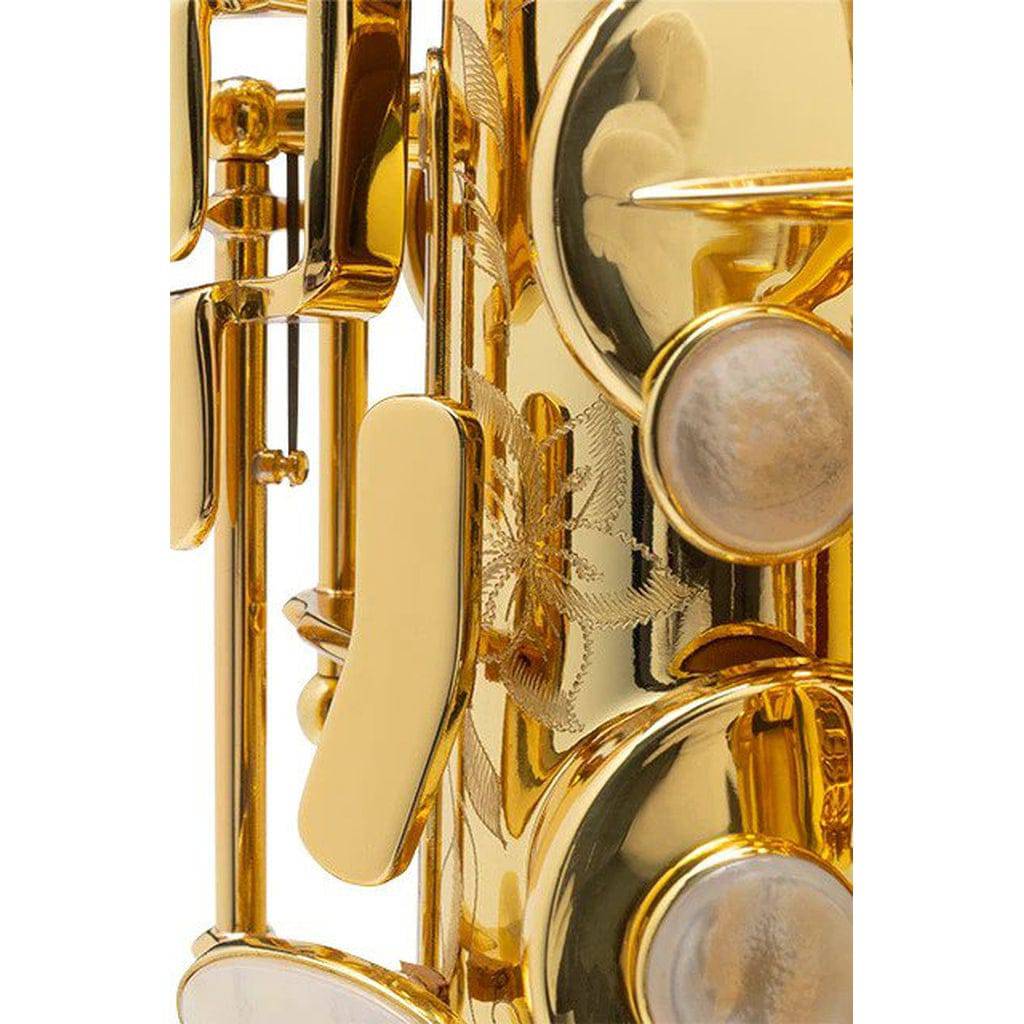 Dark Lacquer Alto Saxophone Accept OEM Production Pro Mark VI Type Sax With  Case