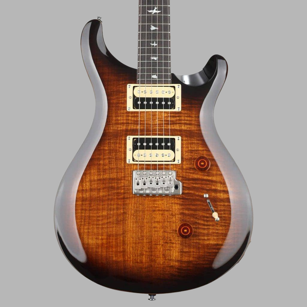PRS SE Custom 24 Electric Guitar