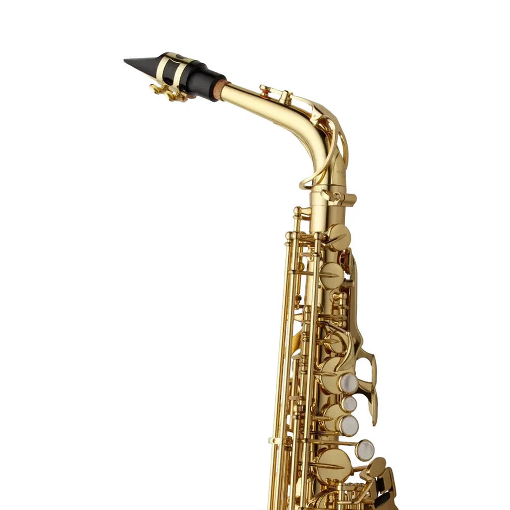 Yanagisawa A-WO1 Professional Alto Saxophone