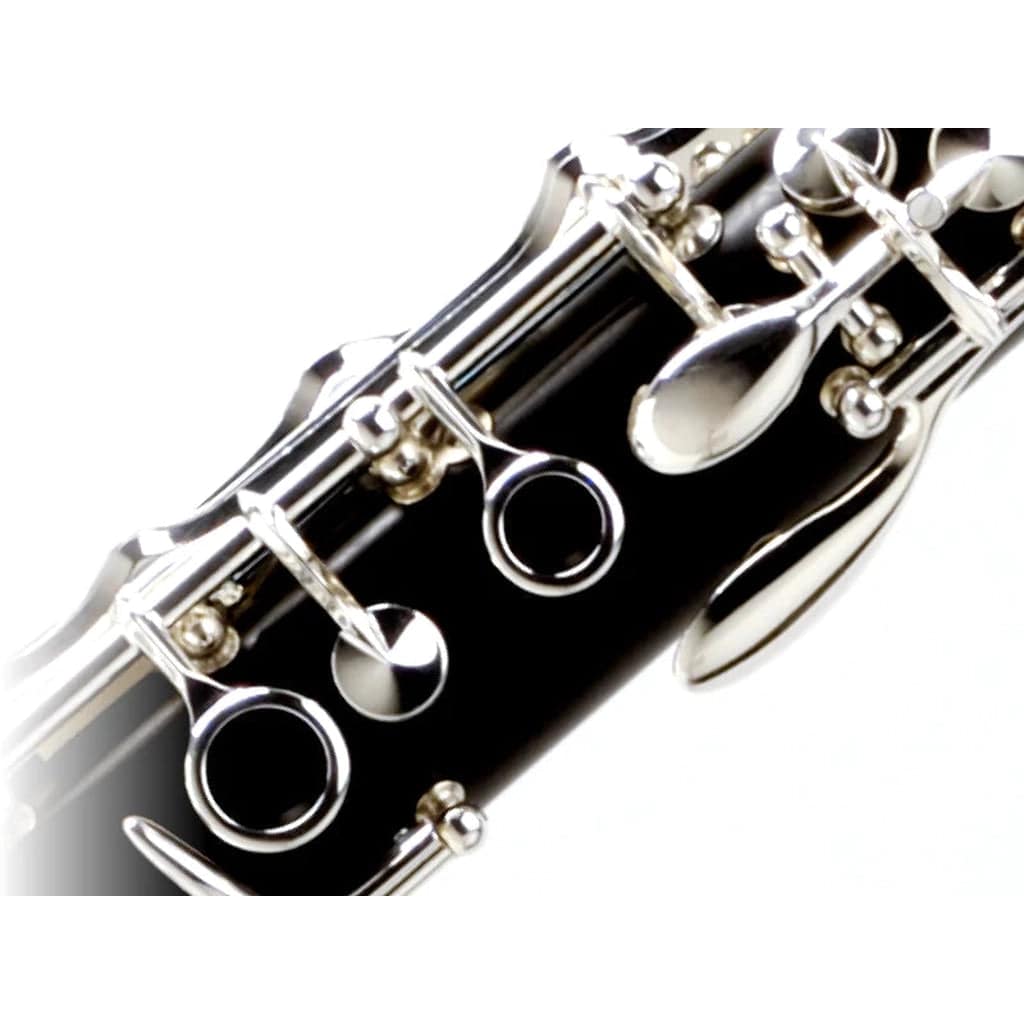 Buffet Crampon R13 Professional Bb Wood Clarinet with Silver-plated Keys - Irvine Art And Music
