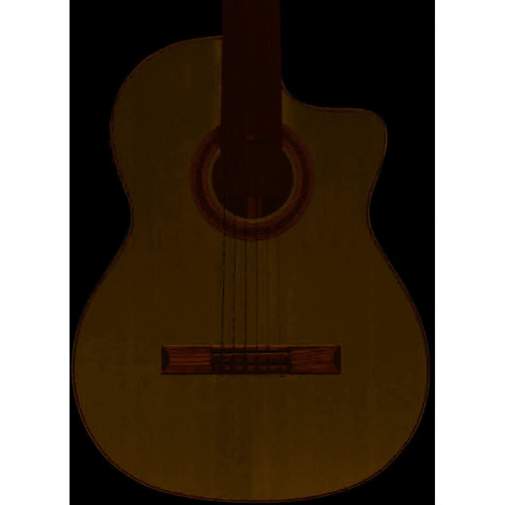 Cordoba GK Studio Nylon String Acoustic-Electric Classical Guitar