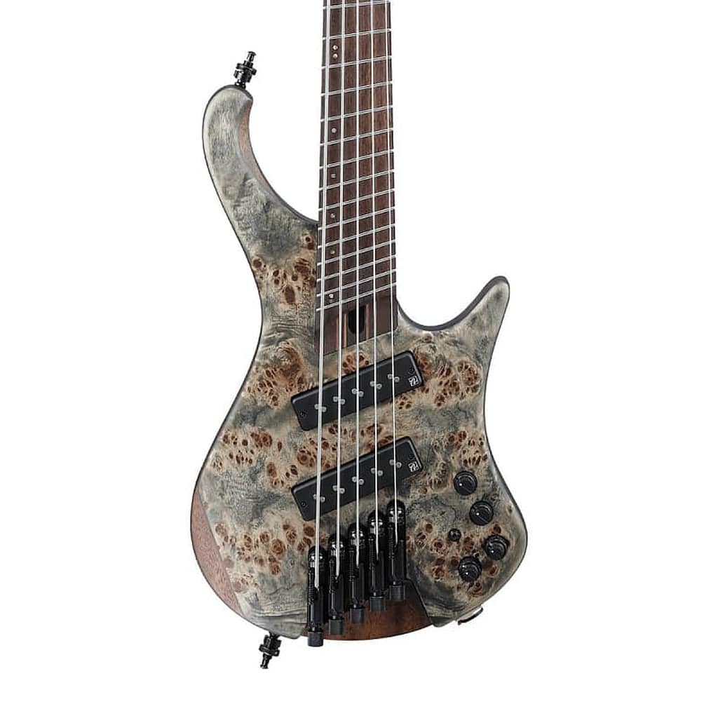 Ibanez Bass Workshop EHB1505MS 5-String Bass Guitar - Irvine Art And Music