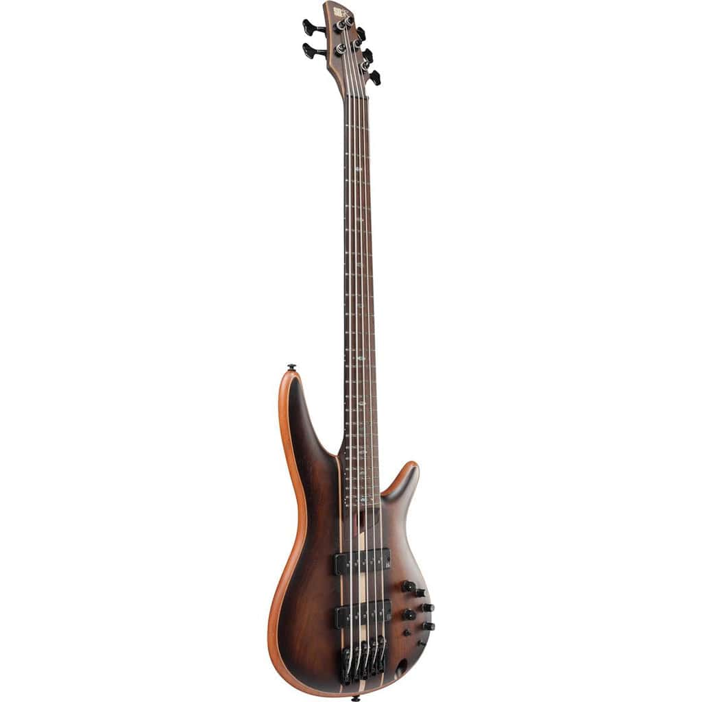 Ibanez Premium SR1355B 5-string Bass Guitar - Dual Mocha Burst Flat - Irvine Art And Music