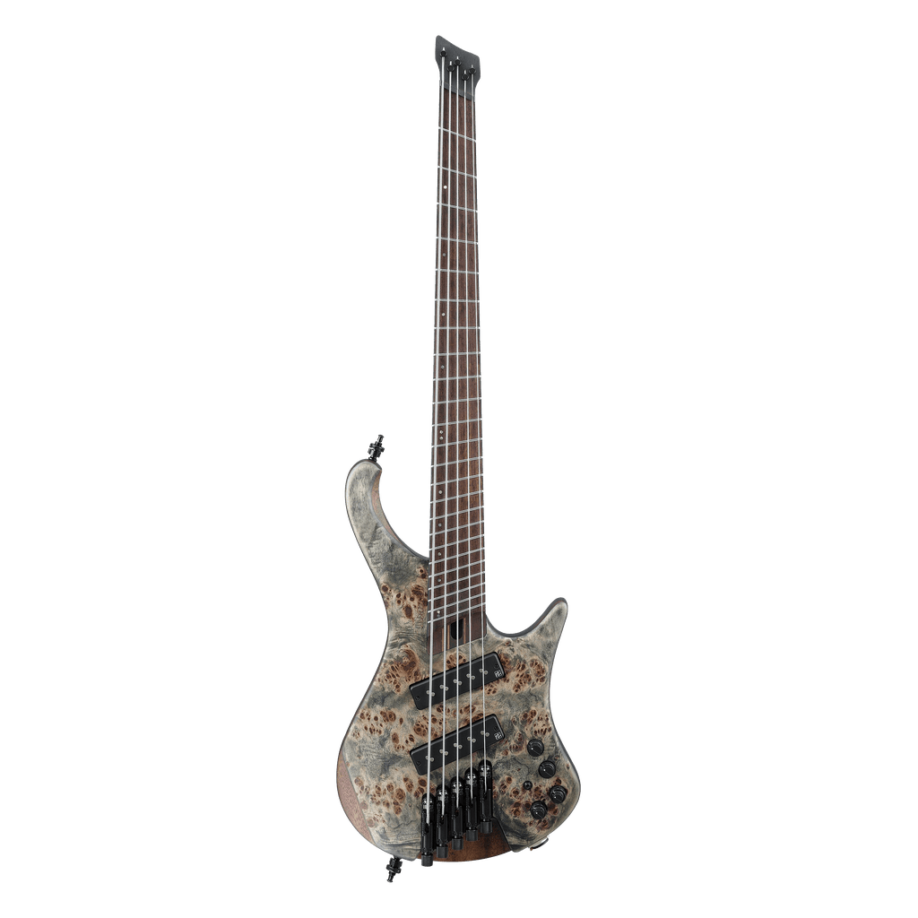 Ibanez Bass Workshop EHB1505MS 5-String Bass Guitar - Irvine Art And Music