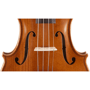 Yamaha Student Model Braviol YVN Model V3 Violin Outfit